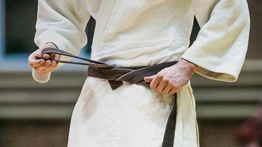 High Performance Sport of Judo image