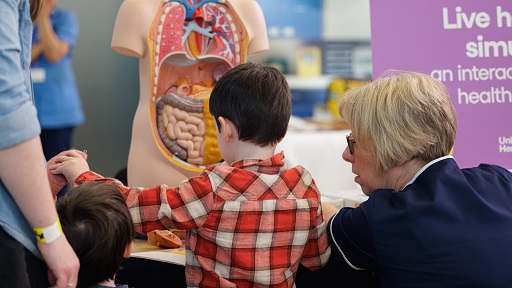 A tutor showing a child an anatomical model of a torso