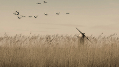 New releases from University of Hertfordshire Press