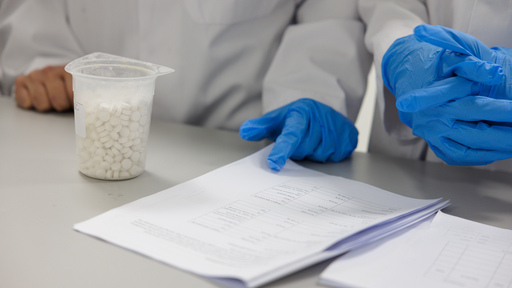 Pharmacist pointing at document